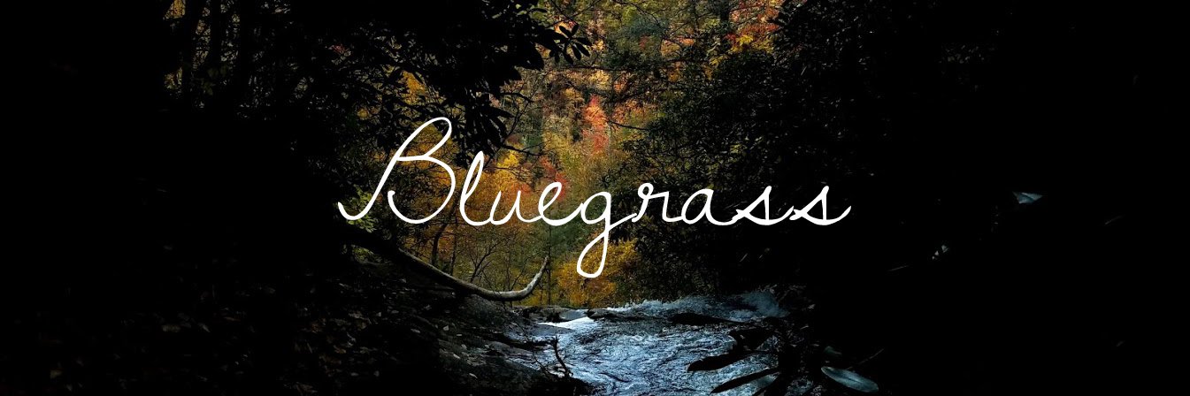 Twitter banner for @Bluegrass