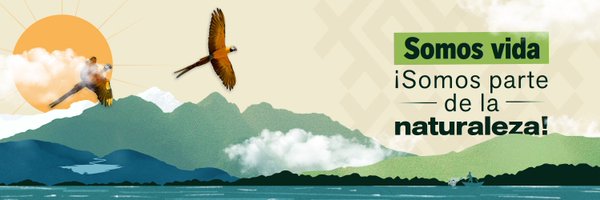 LenAmazonas Profile Banner