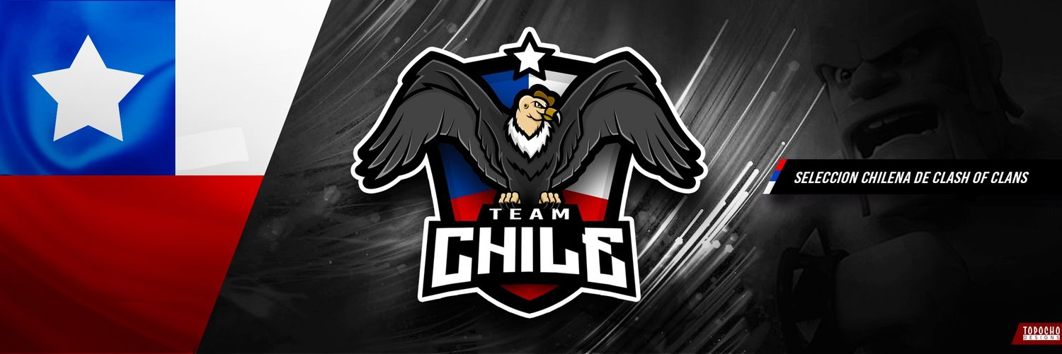 Team Chile banner