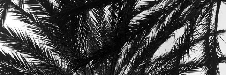 TauanuuD's profile banner image
