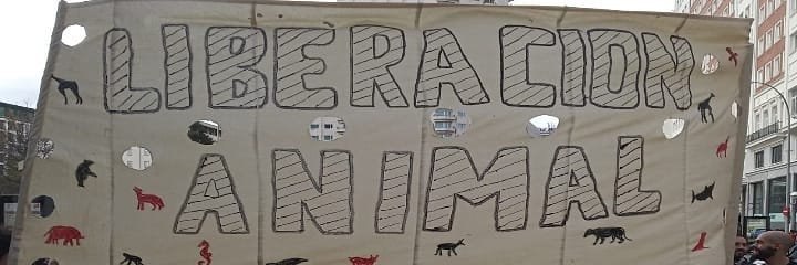 araceli schalum banner