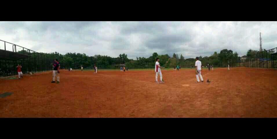 SoftballBaseball UGM banner