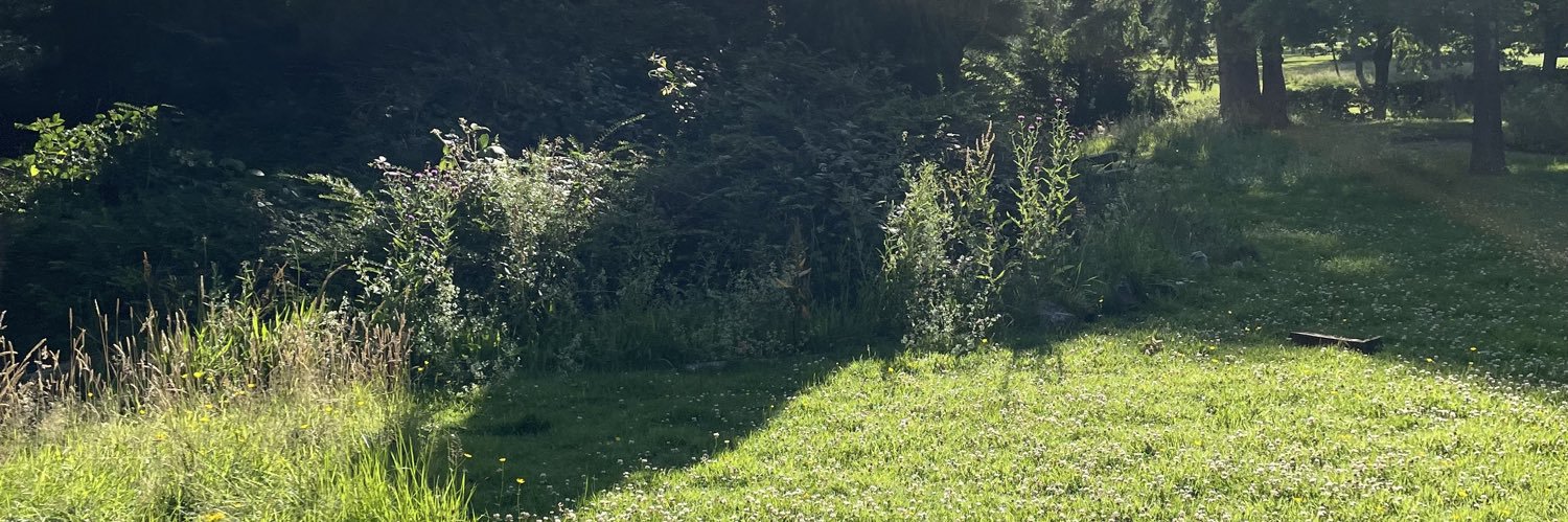 Katherine 💚🤍💜 banner