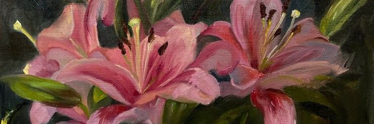 _euemillyn's profile banner image