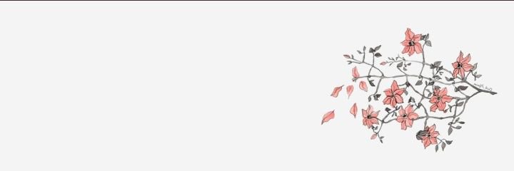 Twitter banner for @mshangao