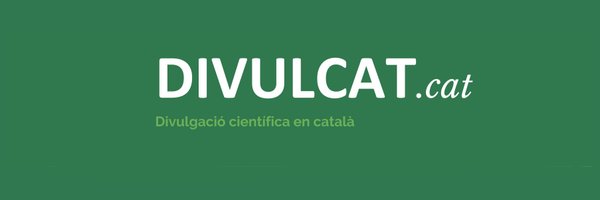 Divul_cat Profile Banner