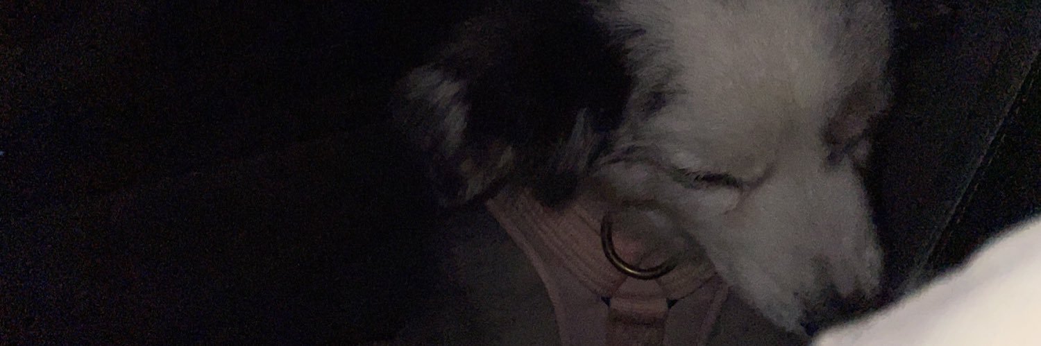 carleybitme's profile banner image