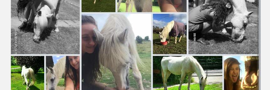 abbiefunnell's profile banner image