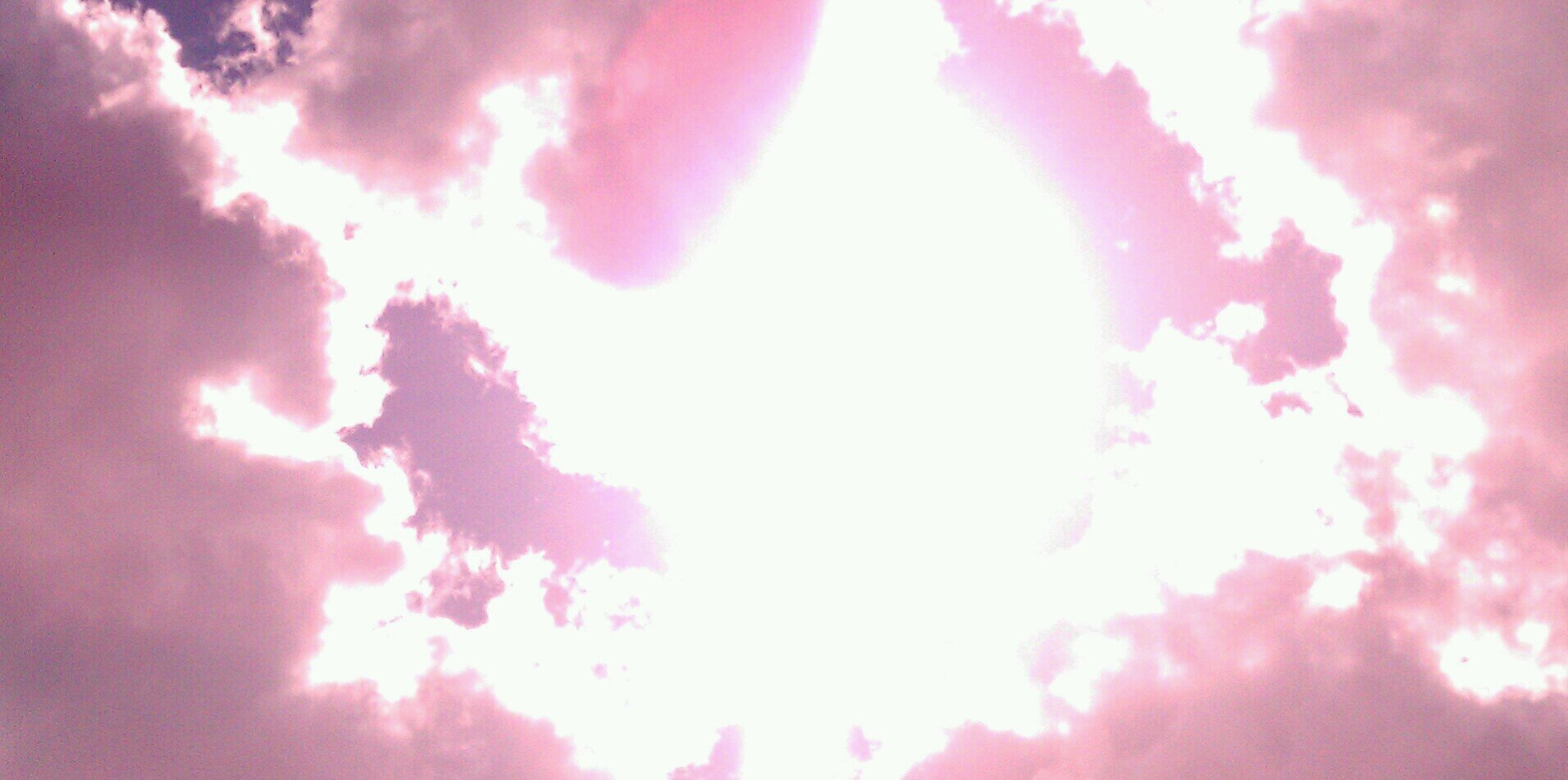 Federico Pica banner