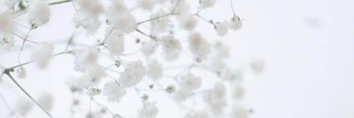 Spee-porry✨ banner