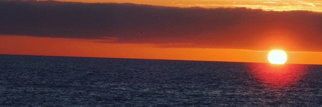 Rayboudewyn's profile banner image
