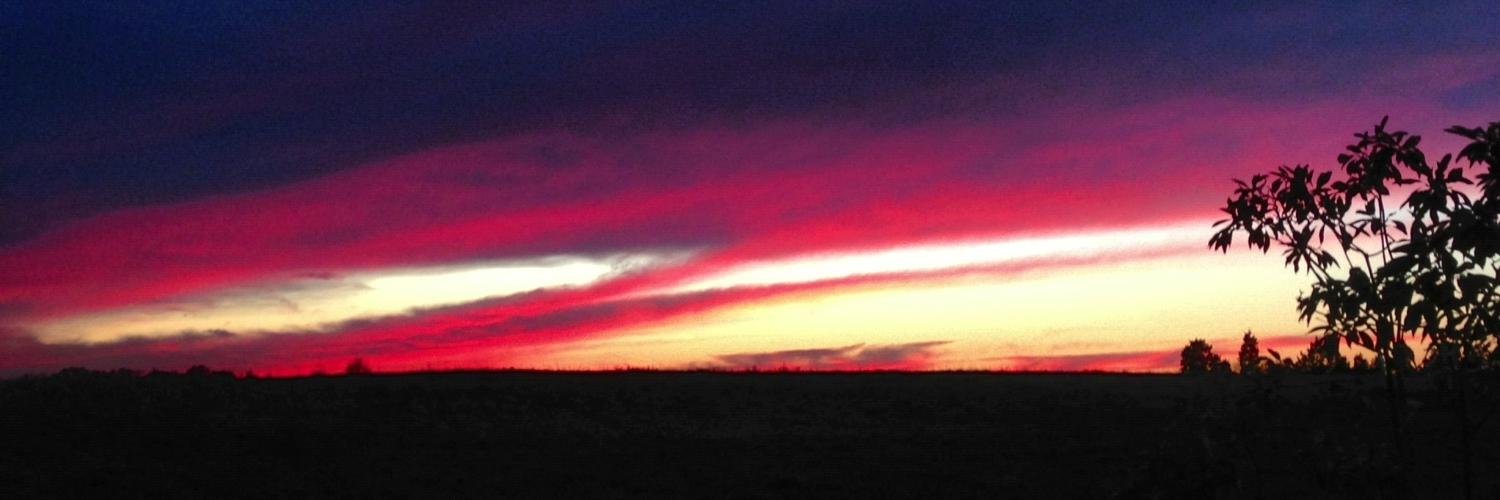 Jody Clements banner