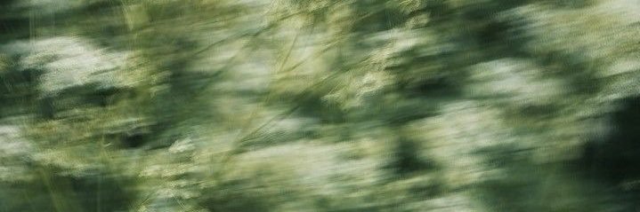 carolvierab's profile banner image