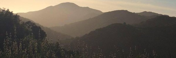 TaliAzen Profile Banner