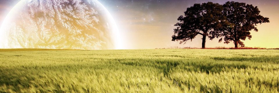 kmac3310's profile banner image