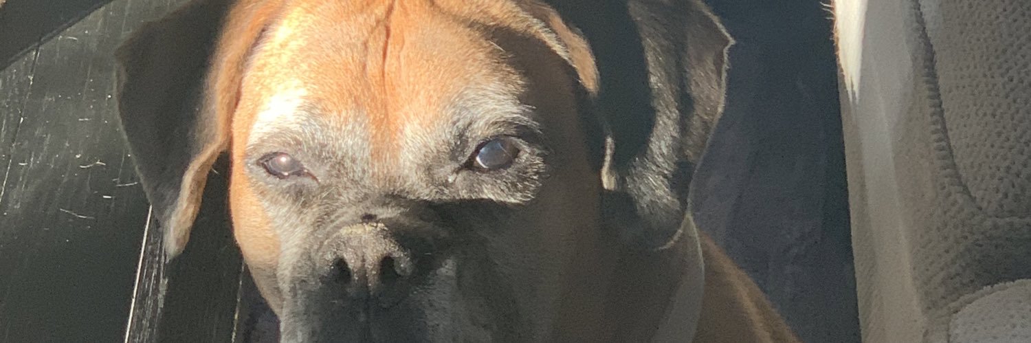 JustLilyXO's profile banner image