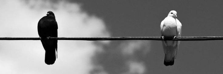 titahmswn's profile banner image