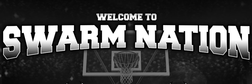 Rhode Island Swarm banner