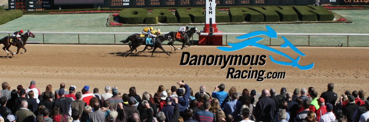 Danonymous Man's banner