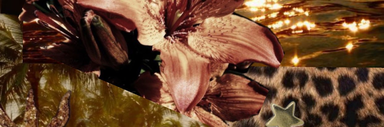 i banner