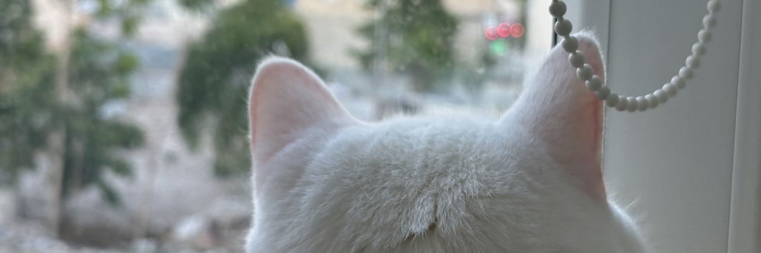 inyourreyes's profile banner image