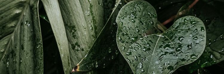 geeelaaap_'s profile banner image