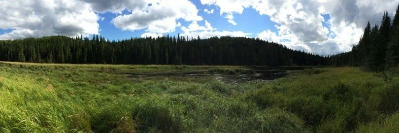 DruFranklin's profile banner image