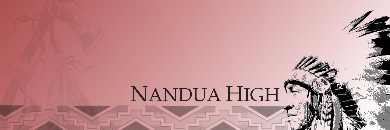 NanduaHSLibrary's profile banner image