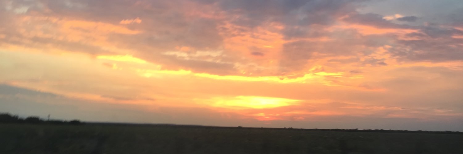 alexlaes's profile banner image