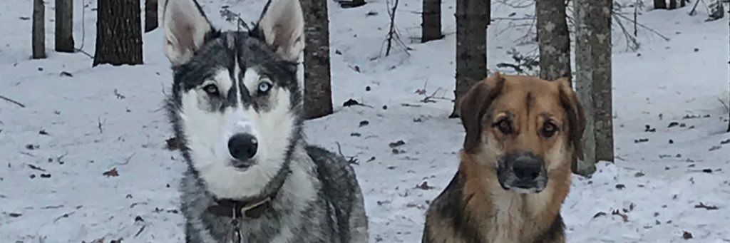 JosefAndrews25's profile banner image