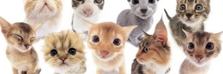 helenaamarr's profile banner image