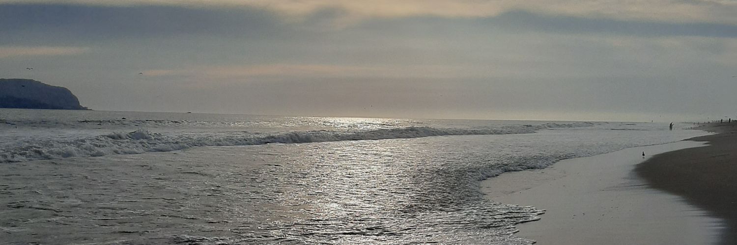 RuthAcostaM's profile banner image