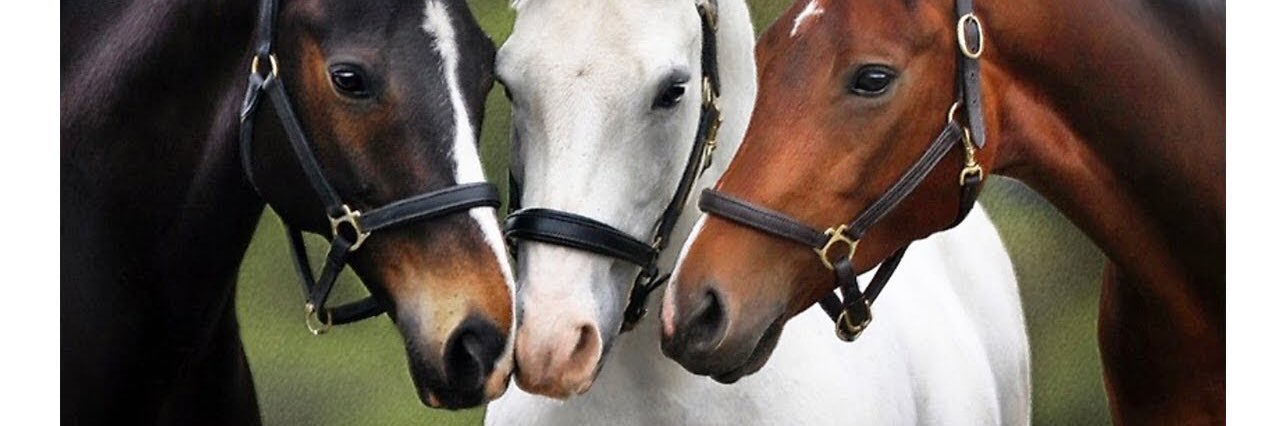 @LoveHorses banner