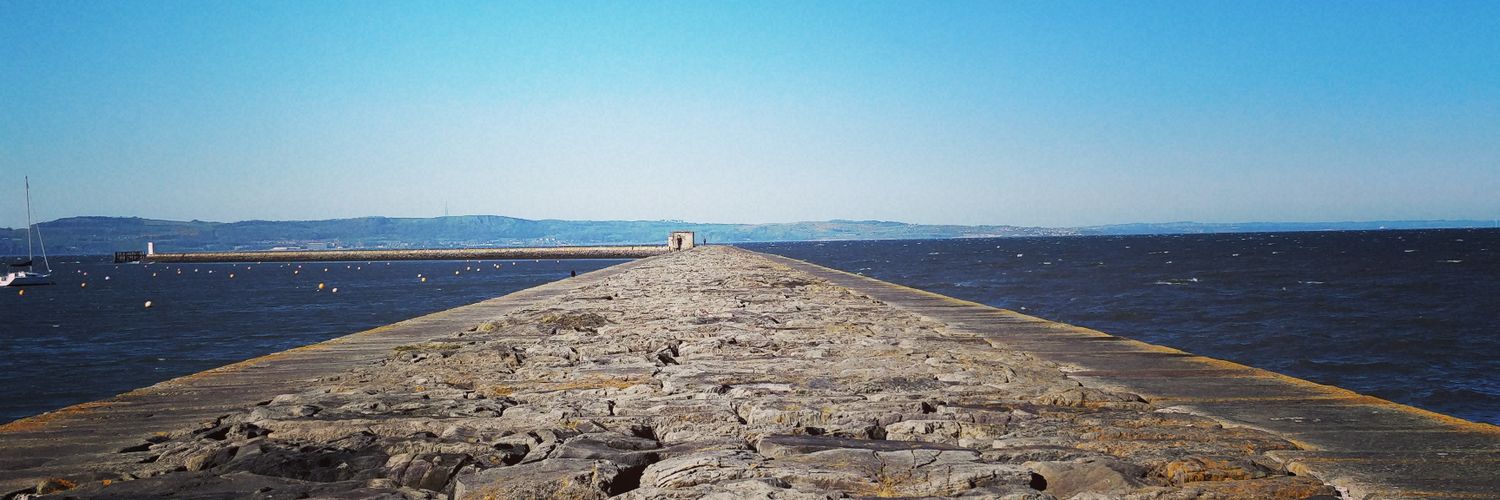 Eileen Inglis banner