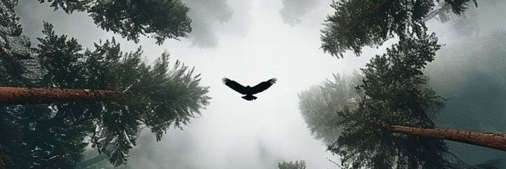 .'s banner
