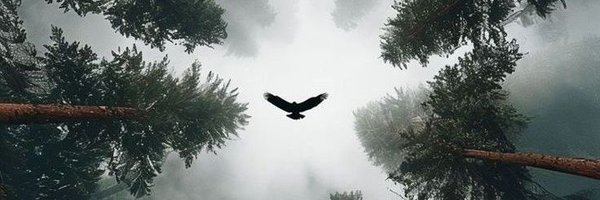 __Czwe Profile Banner