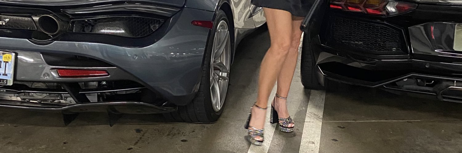 Sally Ann Lauren banner