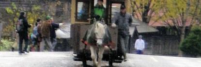 自転車 まとめ banner