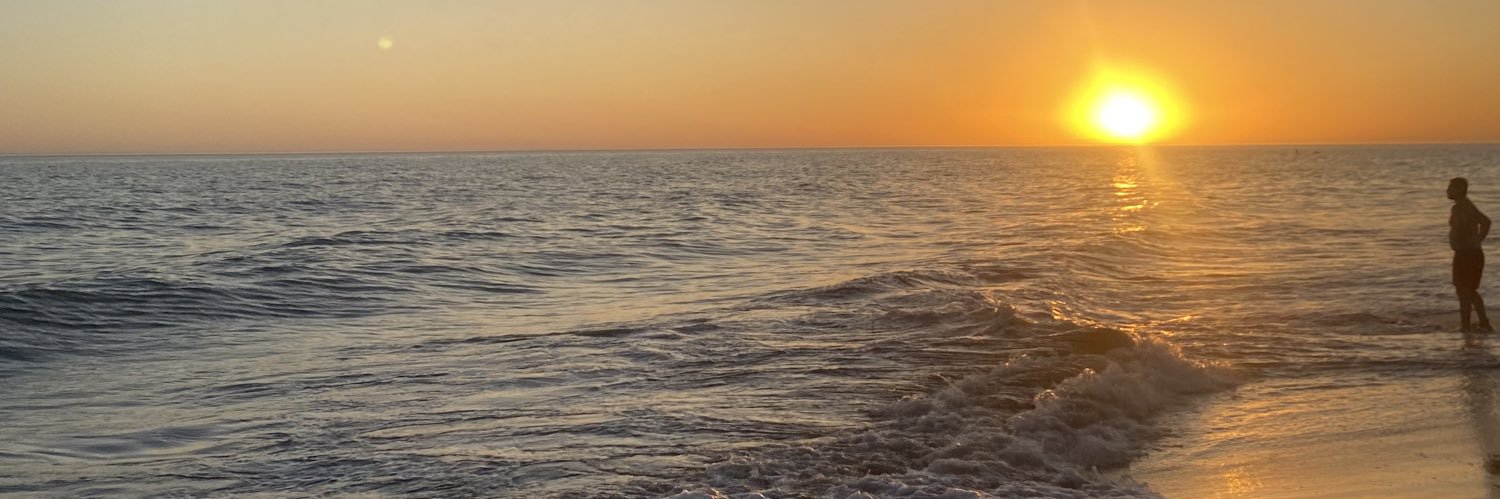ferrettilucas99's profile banner image