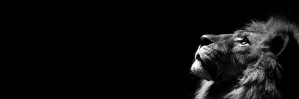 ClementLeeMD Profile Banner