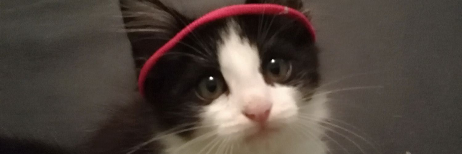 nellymiranda11's profile banner image
