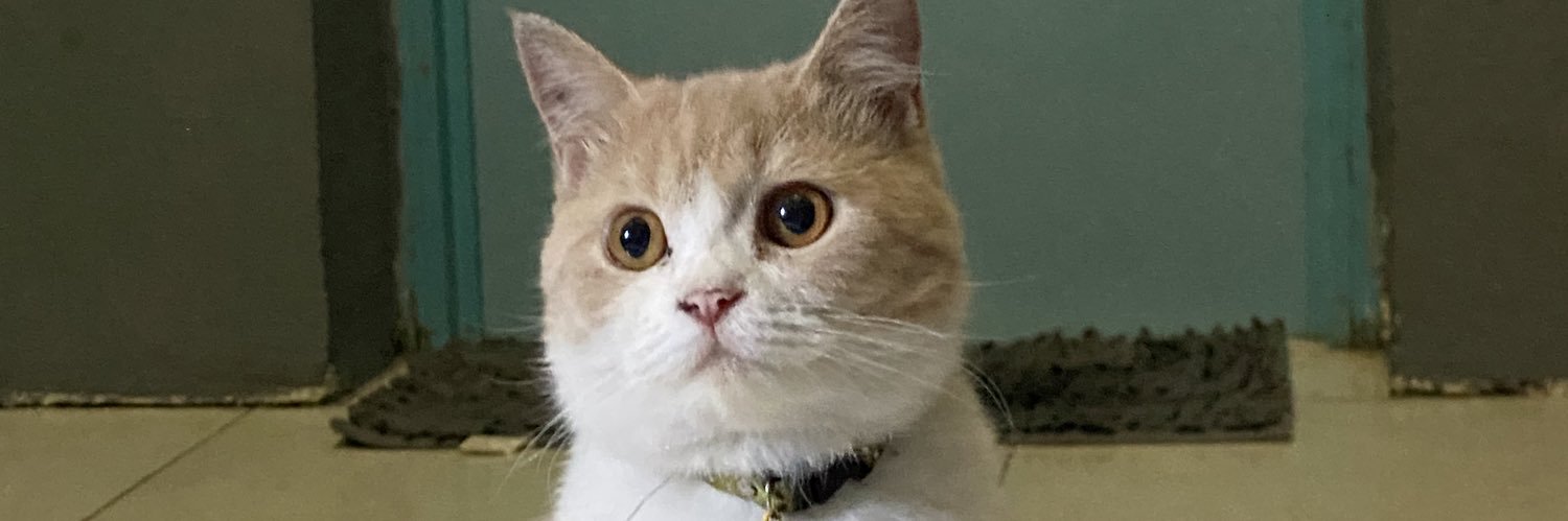 daguruncingg's profile banner image