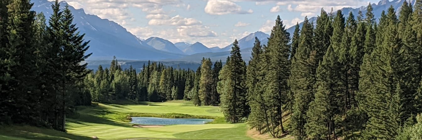 Patrick Twohig banner