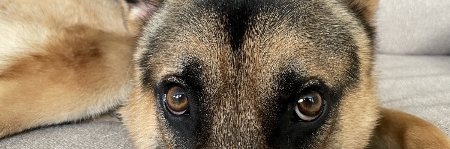malupeytttt's profile banner image