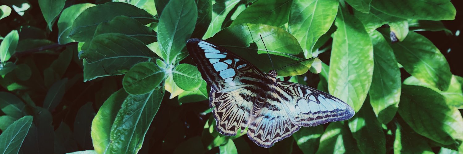 ashleyymeyer's profile banner image