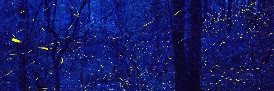 cd3k's banner