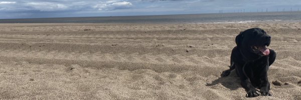 acsnottingham Profile Banner