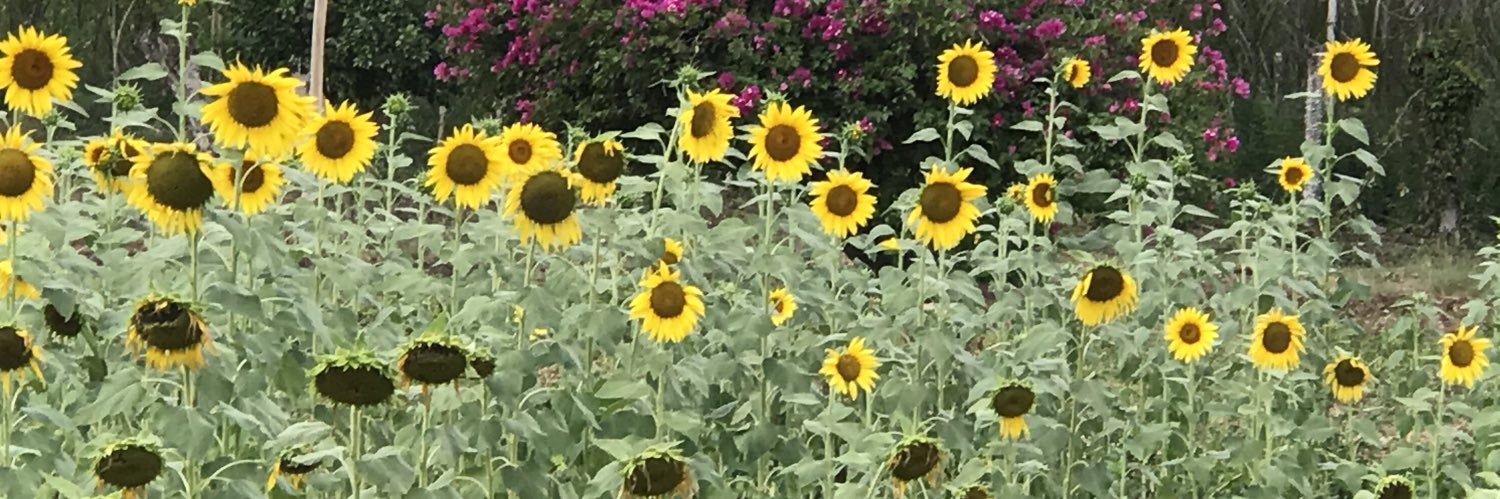asierra100's profile banner image