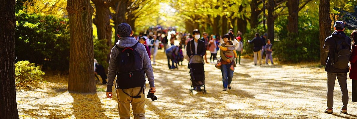 tfujimura's profile banner image