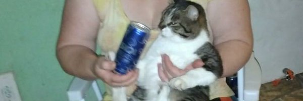 RzX1v9 Profile Banner